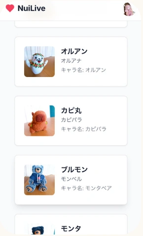 オルアン、カピ丸、ブルモンの写真と名前が並ぶぬい一覧